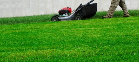 lawn mowing - obrazy, fototapety, plakaty