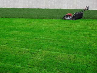lawn mowing