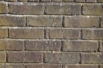 brick wall
