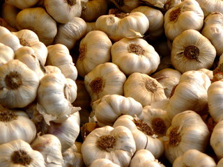 garlic in market showcase