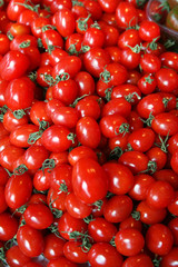 small tomatoes