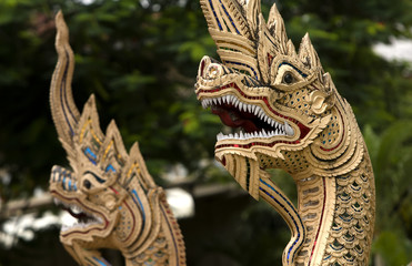 Fototapeta premium dragons