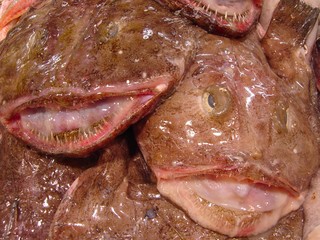 monk fish smiling