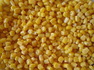 corn  background