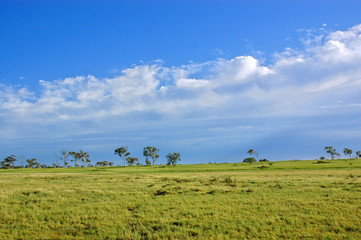 Obraz premium landscape