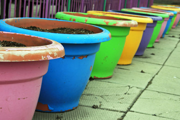 Naklejka premium flower pots