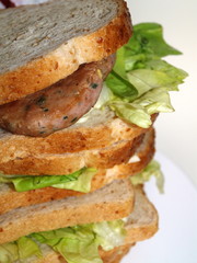 panino