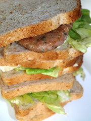 panino