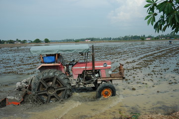 Fototapeta premium planting machine