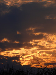 sunset  sky  clouds  evening