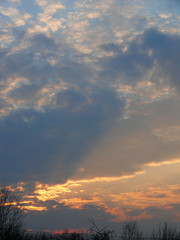 sunset  sky  clouds  evening