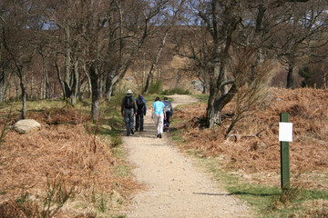 Obraz premium family walking in countryside