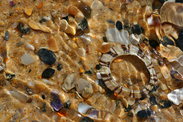 rock pool