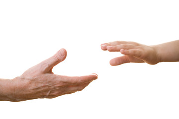 hands