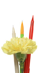 yellow flower and three pens