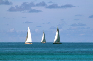 Fototapeta premium sailboat trio