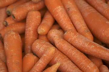 paris market carrots