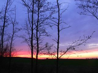 beautiful sunset