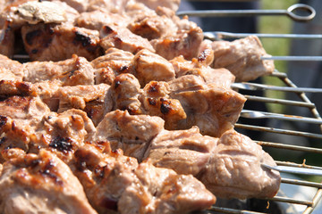 meat kebabs shashlyk on a barbecue