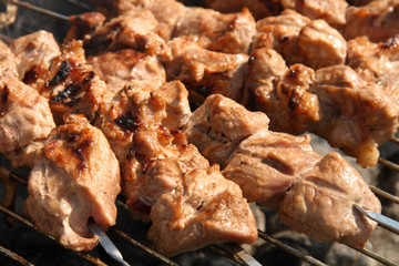 kebabs shashlyk on bbq