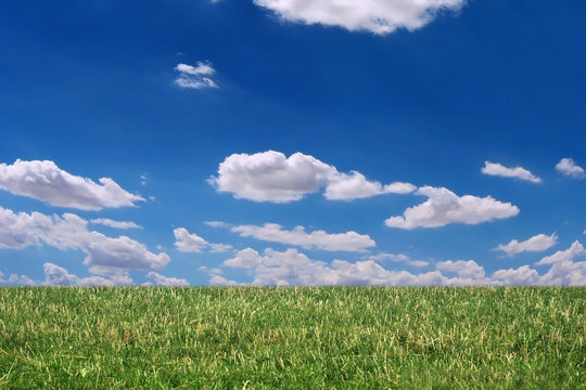 grass, sky and clouds
