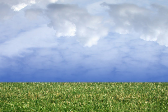 grass and cloudy sky