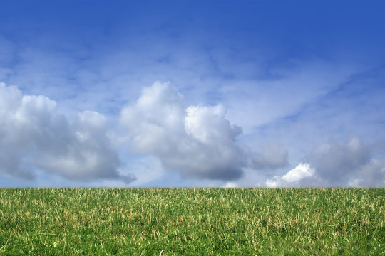 grass and cloudy sky!