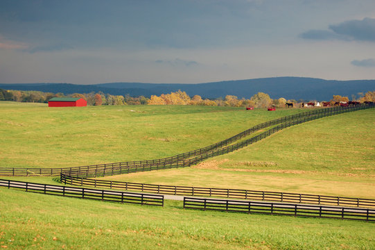 Horse Farm, Virginia