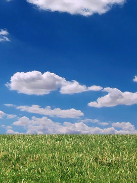 grass and cloudy blue sky!
