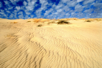 dune