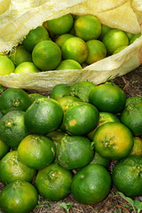 naranja limon mandarinas