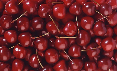 cerises