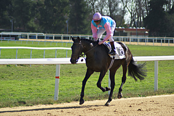 cheval de course