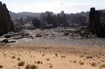 Zelfklevend Fotobehang forêt de pierre sur le tassili n'ajjer © Sahara Nature