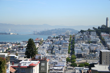 coit tower and suburbs of san francisco