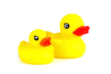 two yellow plastic ducks