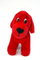 red puppy