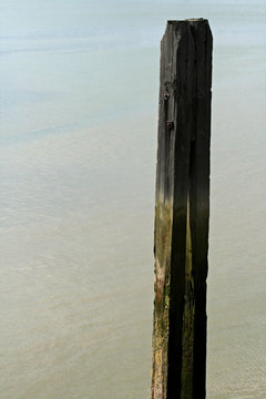 tide marker