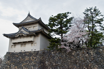 chateau japonais