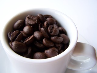 coffee beans
