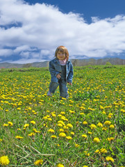 Fototapeta premium girl in the field