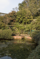 Fototapeta na wymiar bodnant garden