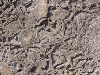 testura muro