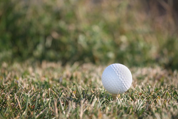 golf ball