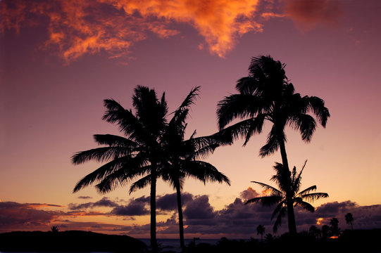 tropical sunset