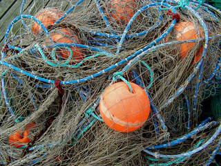 fischernetz
