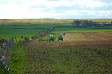 Naklejka premium harvesting