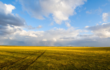 rural scene