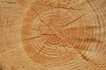 Fototapeta premium circle