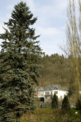 house surrounded by trees